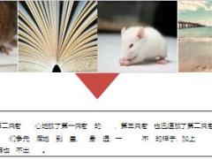 每日保险故事偷油喝的老鼠7页.ppt