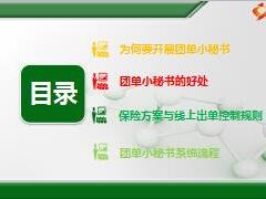 国寿开展团单小秘书好处规则流程14页.ppt