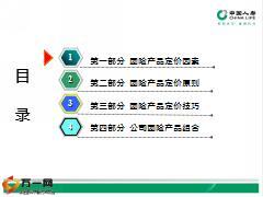 中国人寿团险产品定价与组合29页.ppt