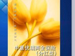 中意优瑞两全保险保险利益投保说明19页.ppt