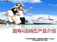 国寿e店销售产品介绍销售流程16页.ppt