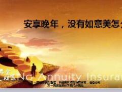 老龄化形势严峻养老生活品质三层次43页.ppt