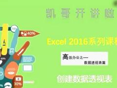 视频培训课程创建数据透视表.rar