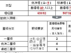 国寿营销组经理组织发展明白卡3页.doc