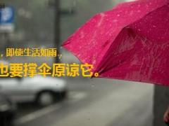 每日鸡汤生活如雨请撑伞原谅.rar