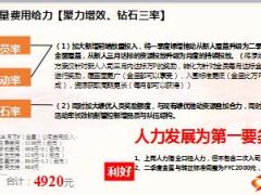 大型组织发展增员项目资源解读面谈技术解析工具与规划56页.ppt