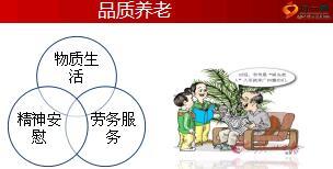 品质养老之财富风险规划36页.ppt