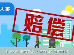视频天安人寿爱相伴终身重大疾病保险介绍动画版.rar