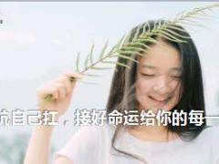 每日鸡汤能抗自己扛接好命运给你的每一记耳光.rar