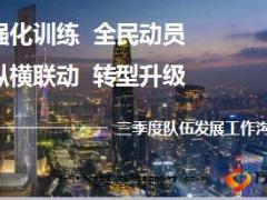 组织发展三季度队伍发展工作沟通47页.ppt