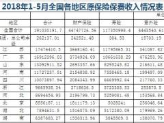 2018年前5月全国各省市地区原保险保费收入排名榜.xls