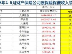 2018年前5月财产保险公司原保险保费收入排名榜.xls