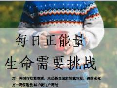 每日正能量生命需要挑战11页.ppt