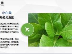 每日健康老祖宗眼中的长寿菜救命菜14页.ppt