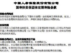 国寿扶贫保团体定期寿险条款.rar