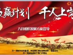 分公司8月组织发展方案宣导44页.ppt