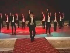 视频舞蹈daddy太平.rar
