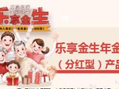 阳光乐享金生年金保险分红型产品解析29页.ppt