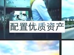 视频太平洋寿险投资优势.rar