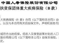 国寿扶贫保团体重大疾病保险B款条款.rar