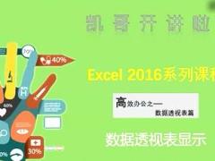 视频培训课程数据透视表显示.rar