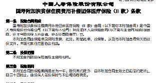 国寿附加扶贫保住院费用补偿团体医疗保险B款条款.rar