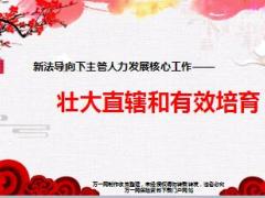 2018国寿新版基本法收展壮大直辖和有效培育34页.ppt