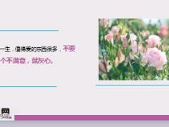 每日鸡汤人生就是永无休止的奋斗.rar