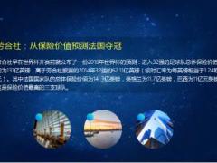 法国队保险价值最高世界杯冠军15页.ppt