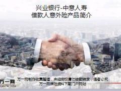 中意人寿借款人意外保险产品介绍简介10页.ppt