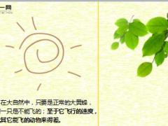 每日正能量别让不可能桎梏着你10页.ppt