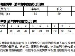 国寿扶贫保团体定期寿险费率表.rar