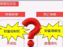 中意永达鑫福终身寿险产品优势条款解析案例分析30页.ppt