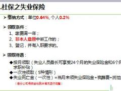 社保升级销售逻辑1社保基础知识分析V型图加阶梯图59页.ppt