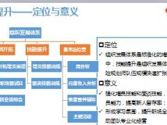 标准化组织发展技能提升操作指引46页.ppt