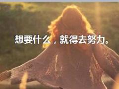每日鸡汤想要什么就得去努力.rar