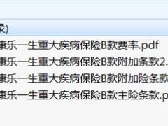 复星联合康乐一生重大疾病保险B款主险条款费率.rar