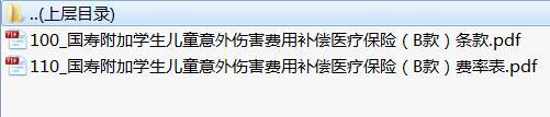 国寿附加学生儿童意外伤害费用补偿医疗保险B款条款费率表.rar