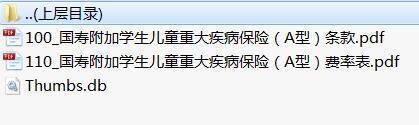 国寿附加学生儿童重大疾病保险A型条款费率表.rar