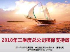 国寿2018年三季度总公司核保支持政策9页.ppt