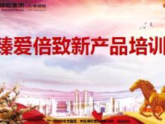 阳光人寿臻爱倍致背景篇产品篇销售篇60页.ppt