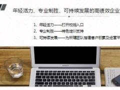 收展总监团队建设发展之路分享不忘初心方得始终25页.ppt