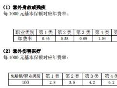 上海人寿大金刚个人综合意外伤害保险条款费率.rar
