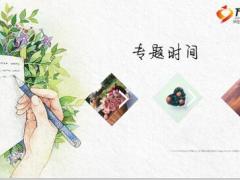 七夕情人节早会流程模板10页.ppt