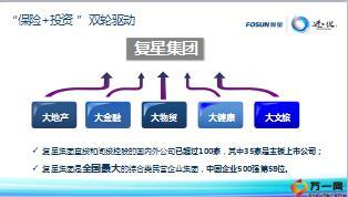 复星以及复星联合健康公司简介9页.ppt