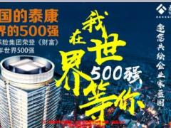 创说会流程泰康人寿500强17页.ppt