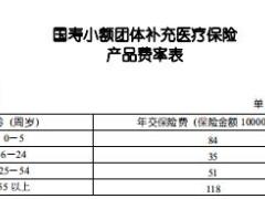 国寿小额团体补充医疗保险条款费率表.rar
