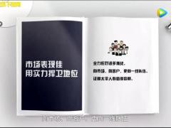 视频太平人寿2018年中成绩盘点.rar