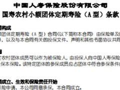 国寿农村小额团体定期寿险A型条款费率表.rar