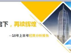 2018年分公司上半年经营分析报告33页.ppt